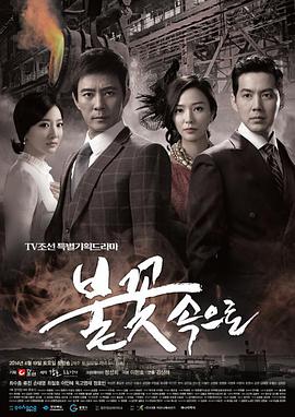 鞍山seo优化如何引流